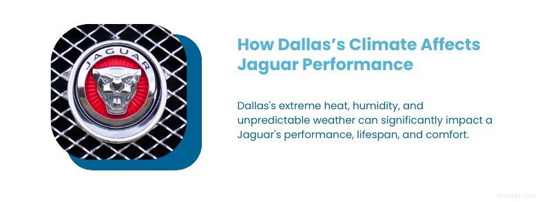 Ultimate Jaguar Maintenance Guide for Dallas, TX:Expert Tips &Local Care 