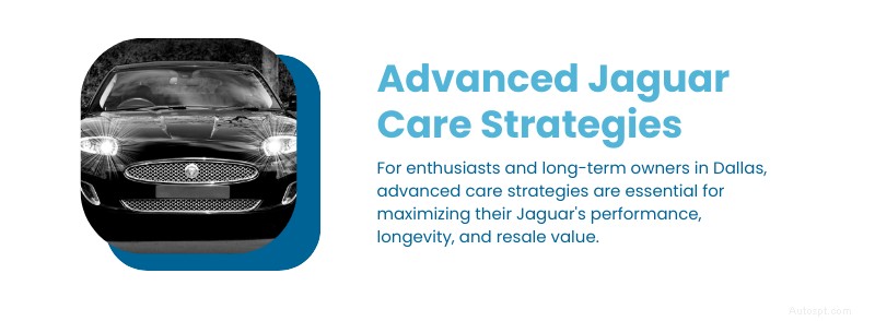 Ultimate Jaguar Maintenance Guide for Dallas, TX:Expert Tips &Local Care 