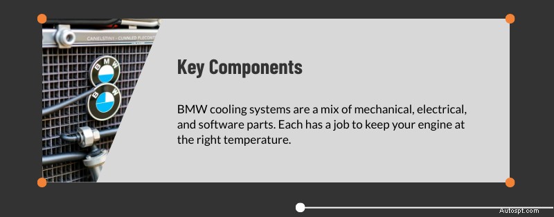 Odborný servis chladicího systému BMW v Dallas &Plano, TX 