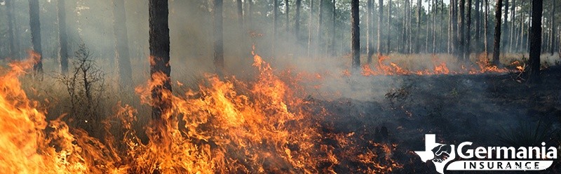 Pochopení příčin a rychlého šíření požáru:klíčové faktory a prevence 