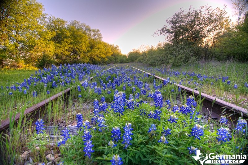 Objevte 10 nejdokonalejších destinací pro Instagram v Texasu 