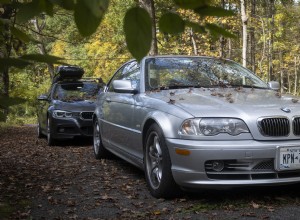 Udržujte svůj lak auta v původním stavu:Okamžitě odstraňte spadané listí 